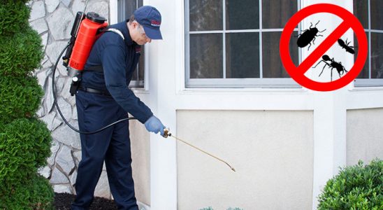 Çatalpınar Fare İlaçlama böcek ilaçlama ve haşere kontrolü — ilaclama-tr.com